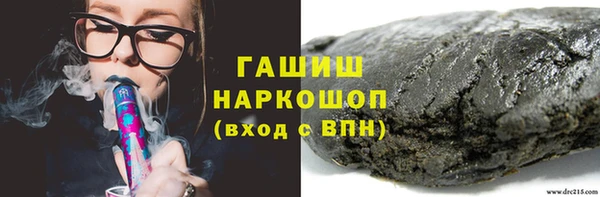 гашик Алексин