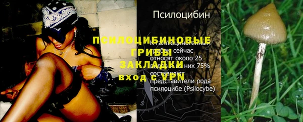 прущие крисы Абинск